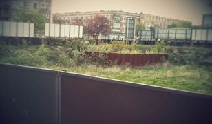 Plac w śródmieściu Gdańska zostanie w końcu zabudowany. Zniknie "Dziura Wstydu"