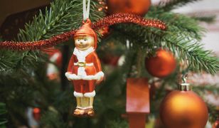 Co z choinką po świętach? Drzewka wrócą do mieszkańców Kościerzyny w postaci ciepła