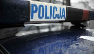 Tragedia na kempingu w Wielkopolsce. Nie żyją dwie osoby - 9-letni chłopiec i jego dziadek