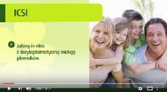 Zapłodnienie in vitro metodą ICSI