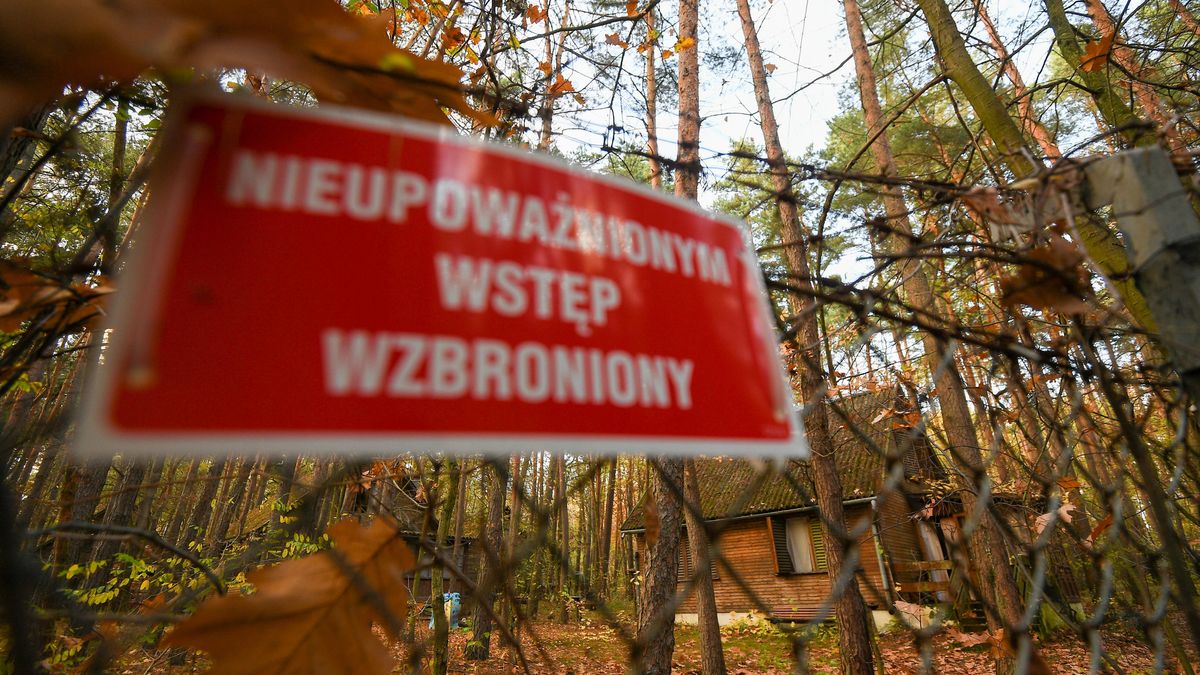 Walka o władzę w Lasach Państwowych w Poznaniu, sprawą zajmuje się policja