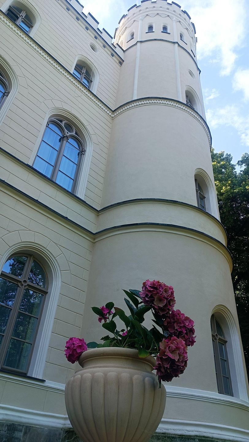 Zamek ma charakterystyczne wieże i strzeliste okna