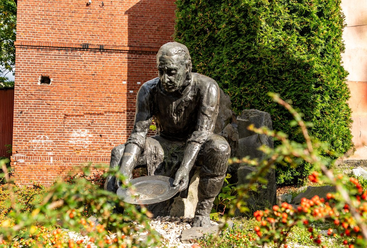 Złotoryja, Płukacz Złota