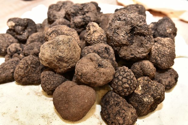 trufle
