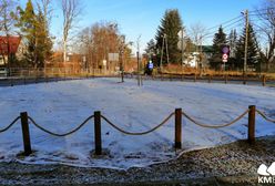 Bielsko-Biała. Kwiaty i zieleń umilą czekanie na autobus. W pobliżu przystanków powstaną łąki kwietne