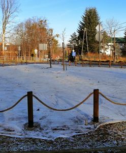 Bielsko-Biała. Kwiaty i zieleń umilą czekanie na autobus. W pobliżu przystanków powstaną łąki kwietne