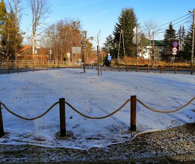 Bielsko-Biała. Kwiaty i zieleń umilą czekanie na autobus. W pobliżu przystanków powstaną łąki kwietne