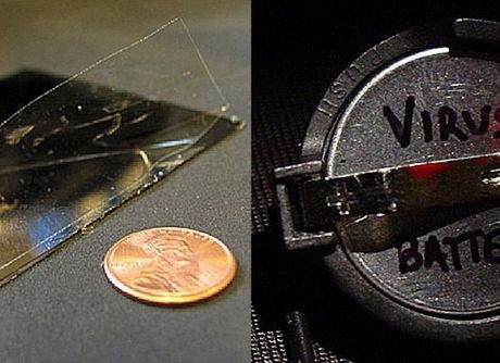 Ziemniaki, sperma łososia, tapioka - przyszłością komórek? 4