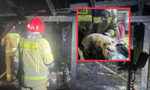 Bohaterski czyn strażaków. Szczeniak przeżył, rodzina otrzymała pomoc