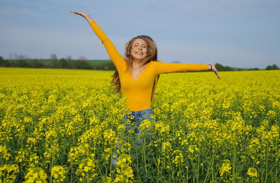 Baseless accusations: Debunking the myth of unhealthy rapeseed o