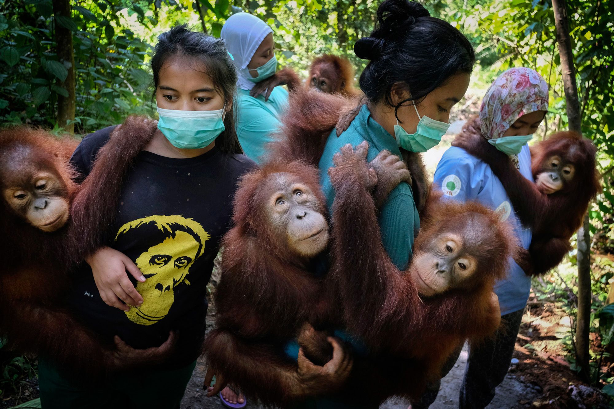 World Press Photo 2020: Yasuyoshi Chiba Fotografem Roku 2020 94