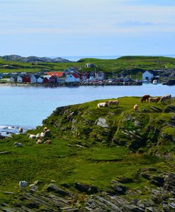 Dania powiększy terytorium morskie o obszar wielkości Jutlandii