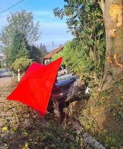 Kierowca BMW nie żyje. Tragedia w Dobrzechowie