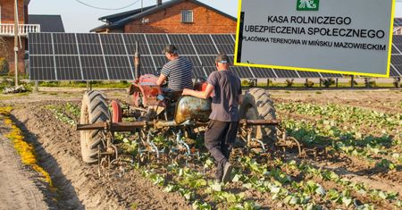 Tyle wynosi najwyższa emerytura rolnicza w Polsce. Ogromne zaskoczenie