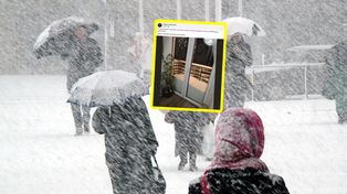 Taki widok na balkonie. Aż chwyciła za telefon. Zdjęcie podbija sieć