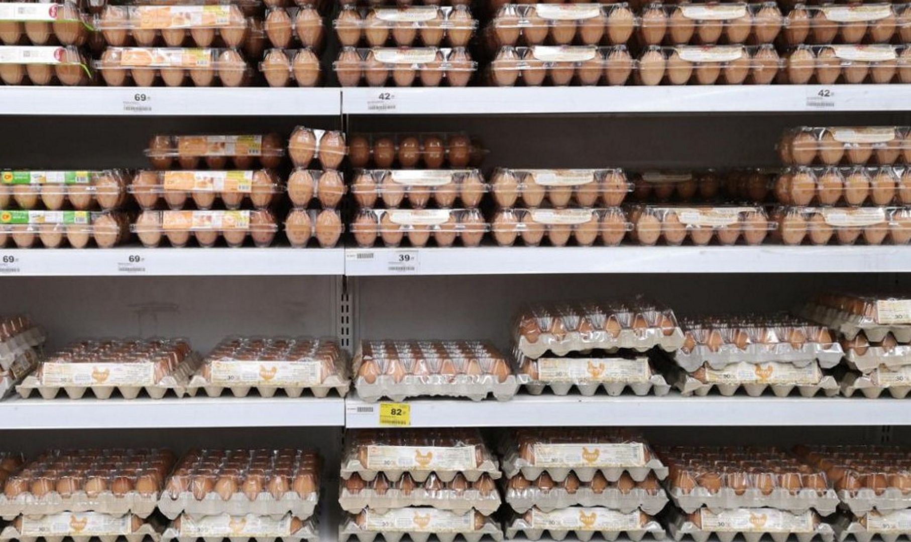 Wyniki kontroli jakości handlowej jaj. Wiele nieprawidłowości