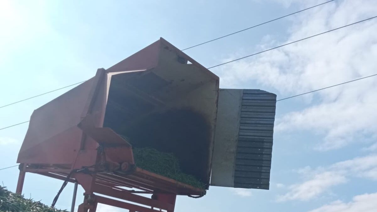 Stężyca. Kombajn do zbioru fasoli szparagowej zaczepił o linię energetyczną