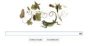 Maria Sibylla Merian, dzisiejsze Google Doodle
