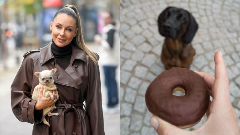 Małgorzata Rozenek - czekoladowy donut z pieskiem