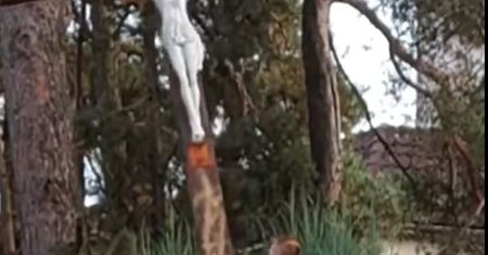 Ściął krzyż, a w sieci zamieścił wideo.  Usłyszał dwa zarzuty