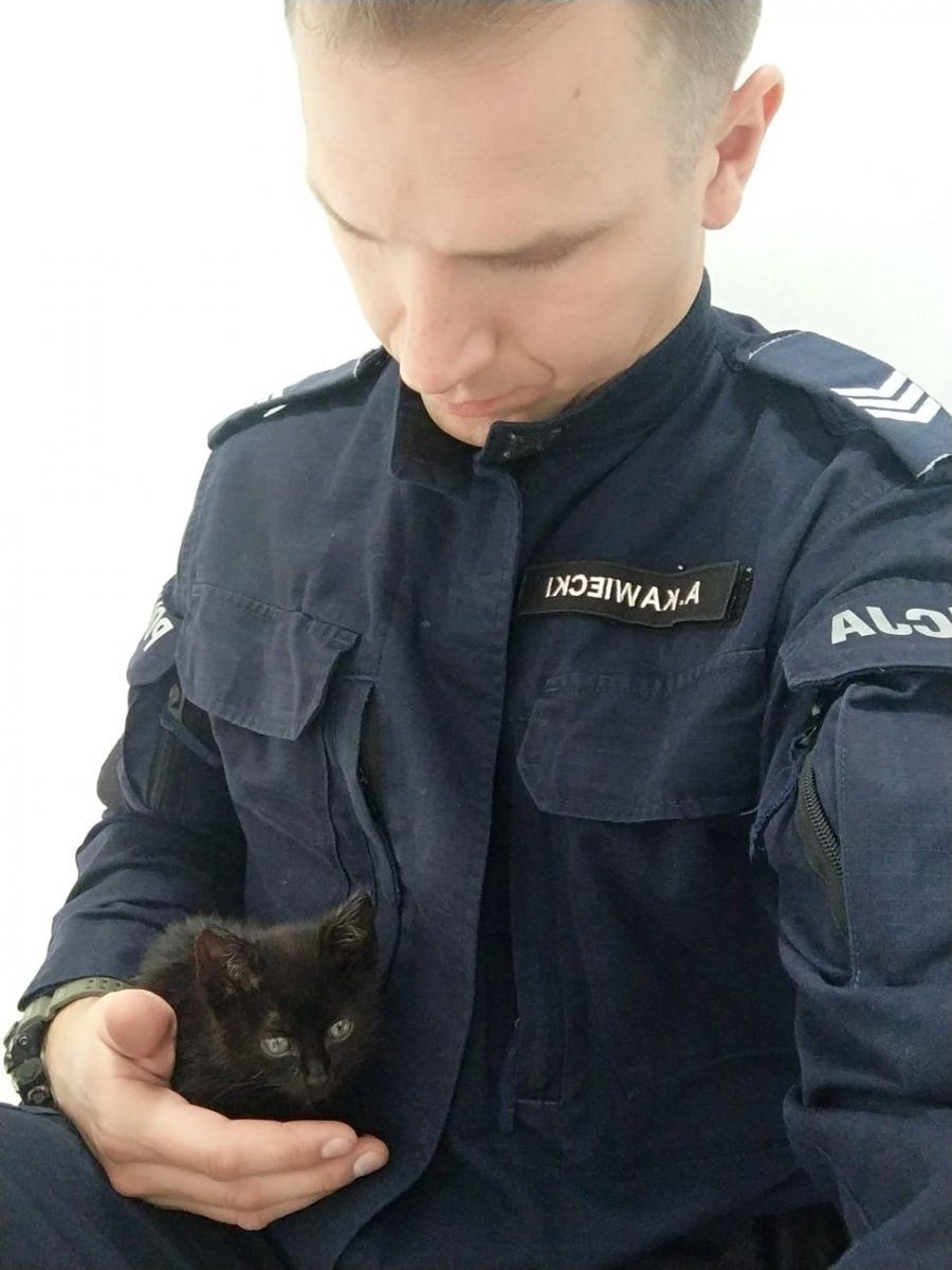 Warszawa. Kot, który utknął pod maską samochodu na Bielanach, dostał pomoc, dom i imię. Zaopiekował się nim jeden z bielańskich policjantów (KSP)