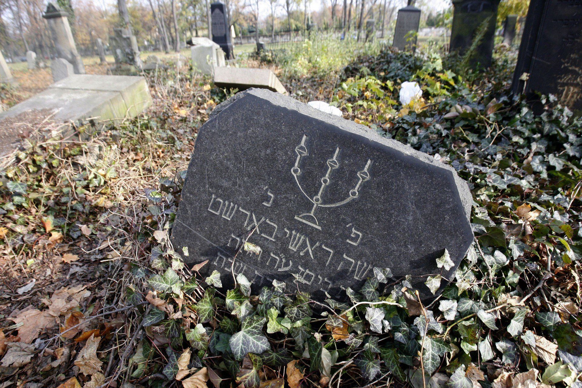 Legnickie Spacery Historyczne. W sobotę ruszy dystrybucja wejściówek. Kolejny spacer po terenie cmentarza żydowskiego