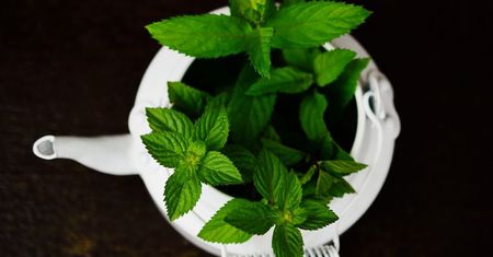 Mint 19: wiadomo więcej o kolejnej wersji najprzyjaźniejszego Linuksa