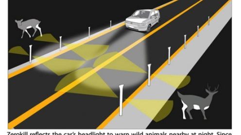 Zerokill i koniec zderzeń ze zwierzętami podczas nocnej jazdy 1