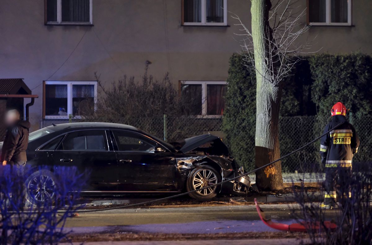 Wypadek Beaty Szydło. Miejsce, w którym samochód uderzył w drzewo 