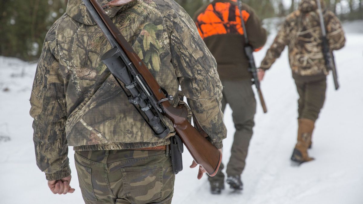 Polowanie na dziki
13.01.2019 Okolice Nowogrodu polowanie  N/z myslimy    fot Marek Maliszewski/REPORTER
Marek Maliszewski/REPORTER