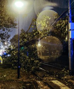 Radar burz. Wichura nad centralną Polską