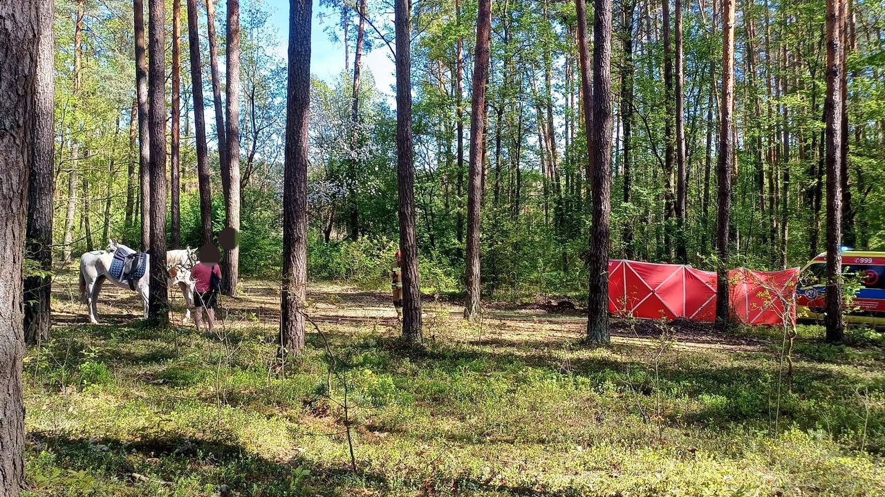 Lubelskie: Tragedia podczas jazdy konnej. 14-latka zginęła na miejscu