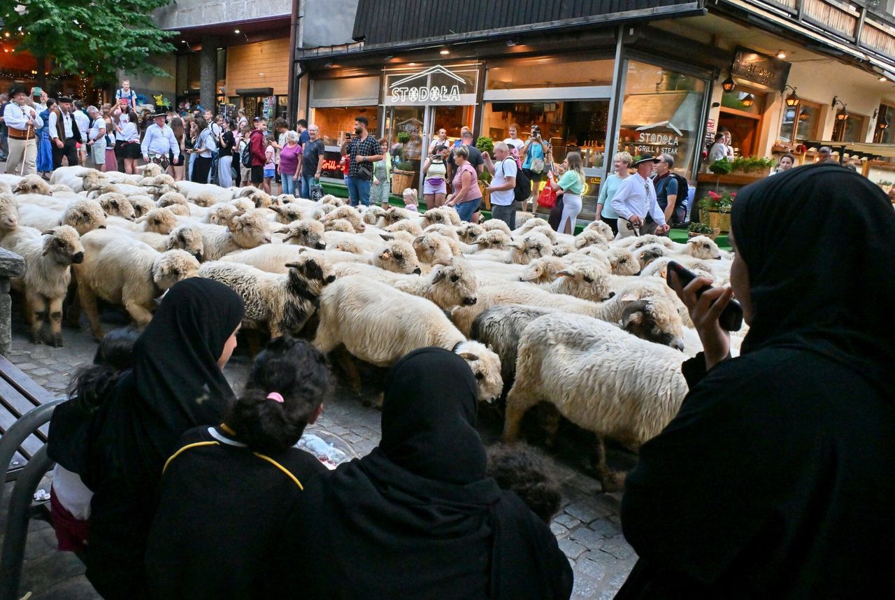 Ziemniaki halal na Podhalu. Górale pokochali arabskich turystów