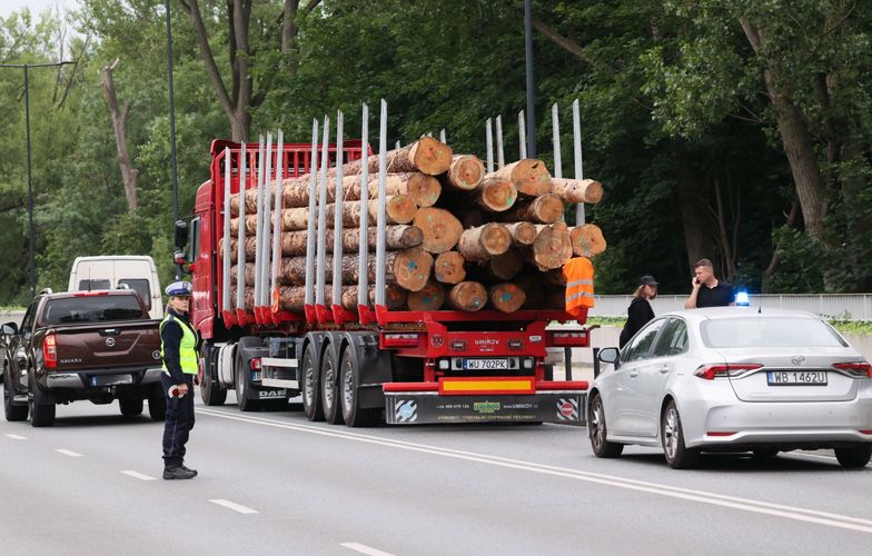 Lasy Państwowe pokazały, dokąd pojechało polskie drewno