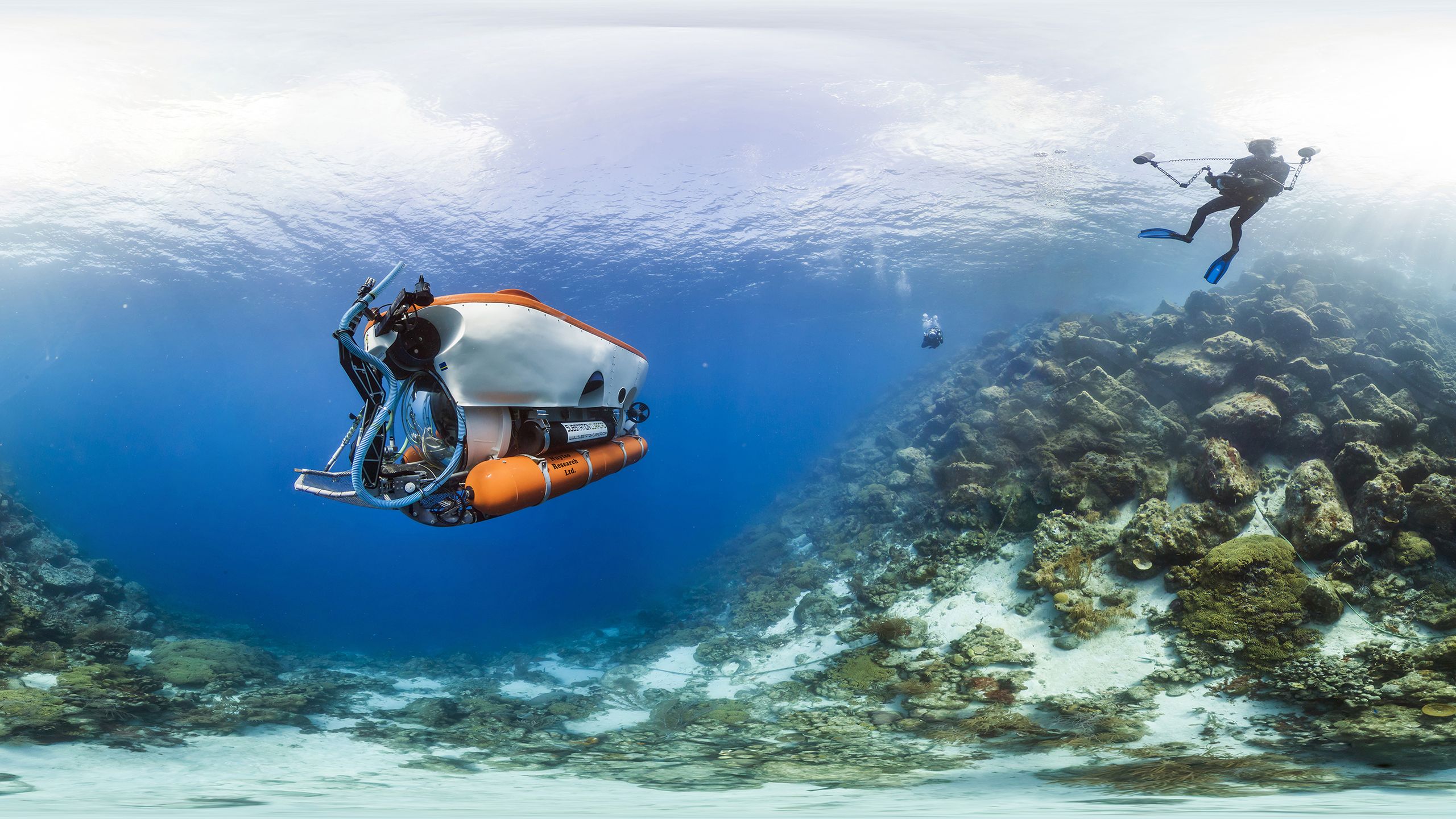 Google Seaview - nurkowanie bez wychodzenia z domu 2