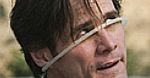 Jim Carrey i Jeff Daniels znów będą "Głupim i głupszym"