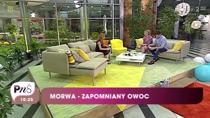 Morwa biała ma wiele właściwości zdrowotnych 