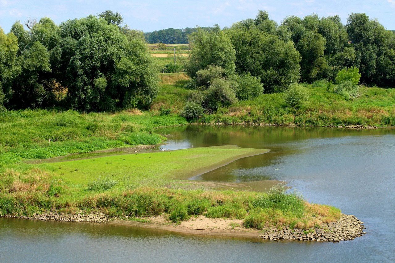 Dzika plaża naturystów w Swolszewicach nad Zalewem Sulejowskim jest bardzo popularna. Plaża nudystów nad Zalewem Sulejowskim
