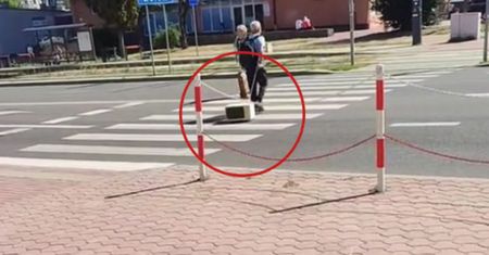 Przechodnie przecierali oczy ze zdumienia. Oto co miał na smyczy