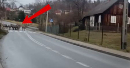 Sceny przy pasach. Było ich mnóstwo. Pół mln wyświetleń