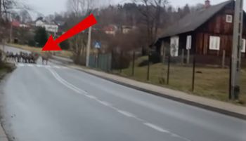 Sceny przy pasach. Było ich mnóstwo. Pół mln wyświetleń