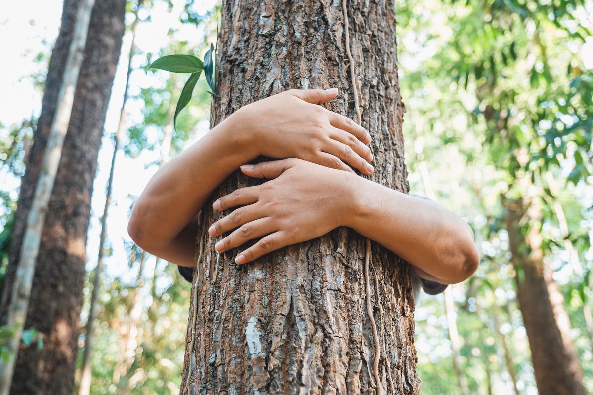 A woman stand behind and give a hug to the old tree in the tropical forest
WEERAPAT W.
CSR, affection, arm, behind, bright, care, closeup, concept, conceptual, conservation, conserve, development, eco, ecology, embrace, environment, environmental, forest, green, hand, high, hold, hug, human, jungle, leaves, love, metaphor, nature, old, outdoor, park, person, protect, protection, save, sustain, sustainability, sustainable, tree, treetop, tropical, trunk, wood, woods, forest, trunk, tree, save, love, hug, csr, affection, arm, behind, bright, care, closeup, concept, conceptual, conservation, conserve, development, eco, ecology, embrace, environment, environmental, green, hand, high, hold, human, jungle, leaves, metaphor, nature, old, outdoor, park, person, protect, protection, sustain, sustainability, sustainable, treetop, tropical, wood, woods