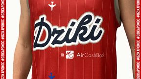 Koszykówka. Warszawskie Dziki grają i pomagają