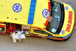 Warszawa. Wypadek motocyklisty na Muranowie. Uderzył w auto, potrącił przechodnia