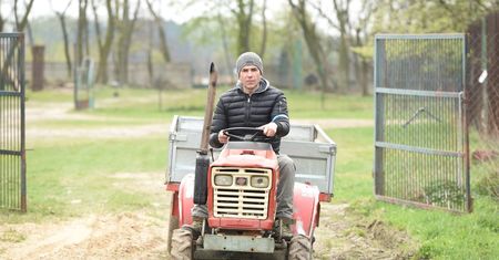 Dorociński jeździ traktorem i przerzuca siano w schronisku dla zwierząt (ZDJĘCIA)