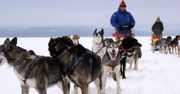 Polacy i husky podbiją Arktykę