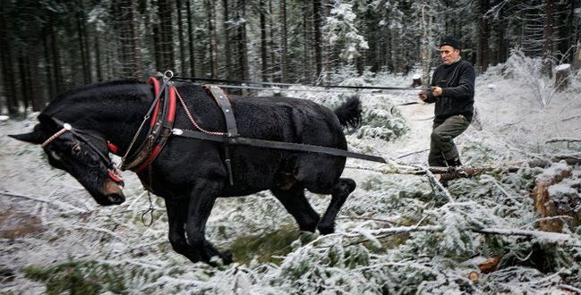 Rodowici Górale oczami mistrza fotoreportażu