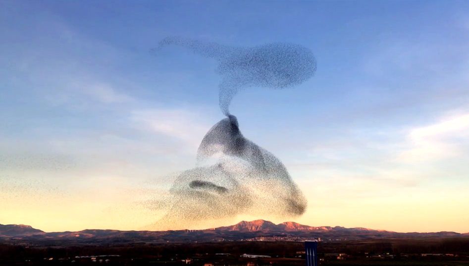 "Magiczna chmura". Niezwykłe wideo fotografa