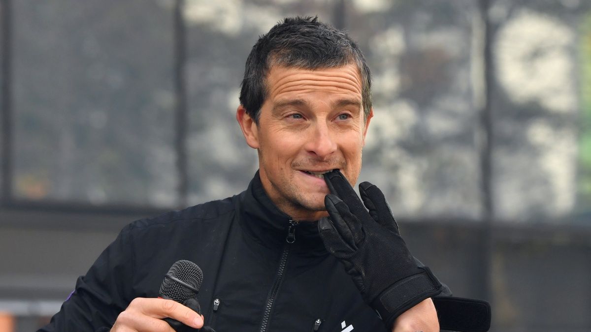 Bear Grylls