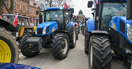 Kryzys zbożowy. Izba Zbożowo-Paszowa: obietnice rządu usztywniły rolników